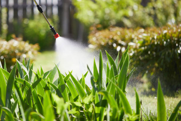 24/7 Emergency Mosquito Control experts in Moody, AL